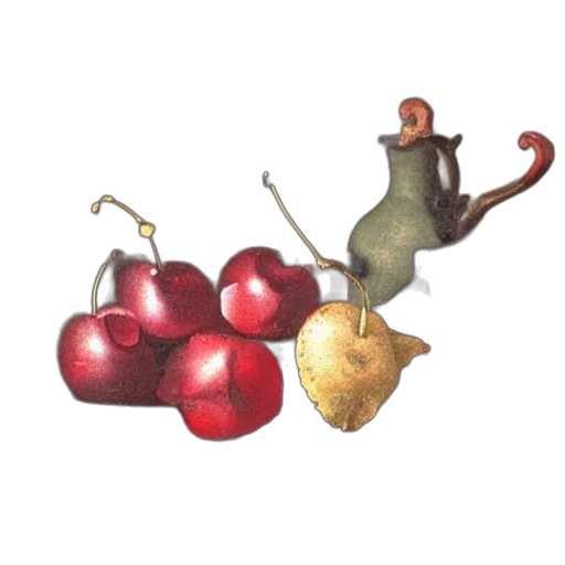 food, animal, creature, concept art transparent PNG cut-out