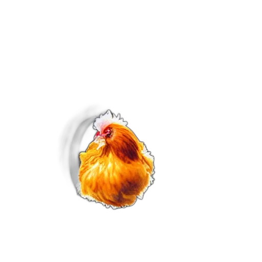 animal, jewelry, food, crown transparent PNG cut-out