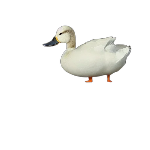 animal, creature, hat, weapon transparent PNG cut-out