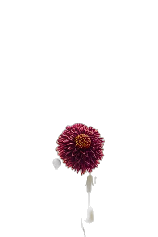 flower, staff, umbrella, hair, 3d render, pixel art, concept art, photorealistic transparent PNG cut-out