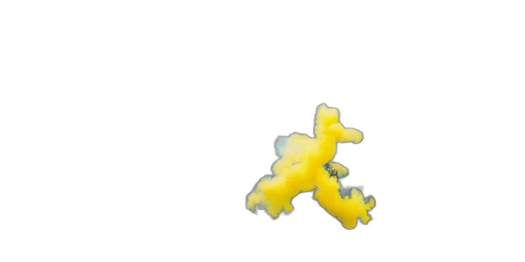 dragon, hair, animal, creature transparent PNG cut-out