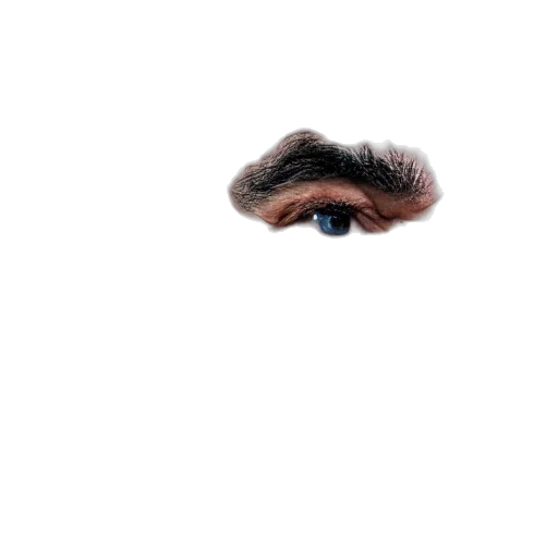 face, hair, mask, creature, photorealistic, pixel art, 3d render, concept art transparent PNG cut-out