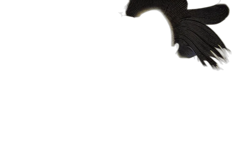dragon, mask, hair, staff transparent PNG cut-out