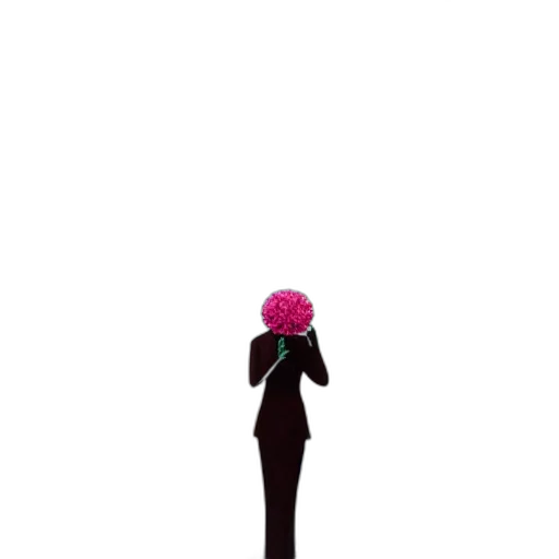 flower, crown, dress, hair transparent PNG cut-out