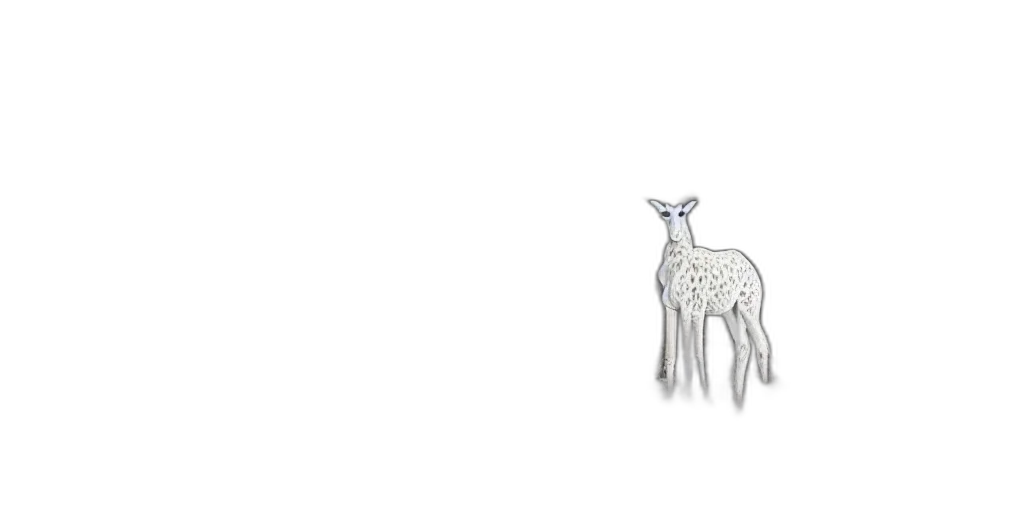 animal, jewelry, creature, crown transparent PNG cut-out