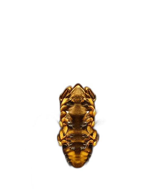 crown, jewelry, mask, animal transparent PNG cut-out