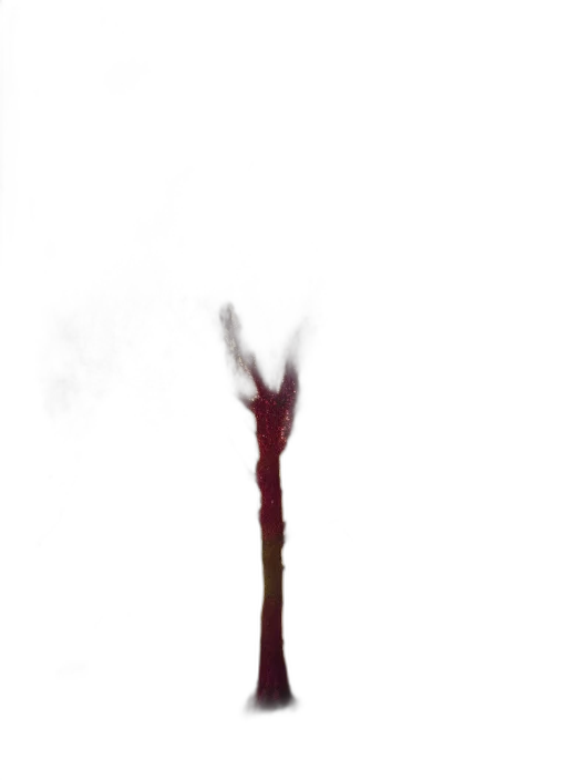 staff, sword, tree, creature, concept art, photorealistic, watercolor, 3d render transparent PNG cut-out