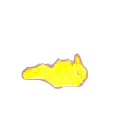 dragon, shoes, animal, staff transparent PNG cut-out