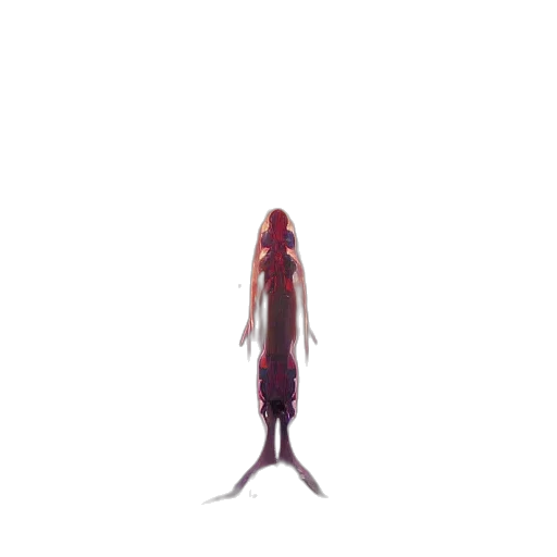 creature, robot, staff, animal, concept art, pixel art, 3d render, anime transparent PNG cut-out