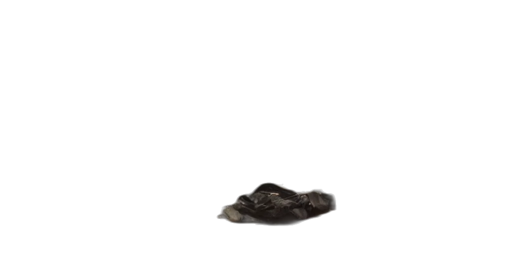 shoes, hair, hat, animal, photorealistic, 3d render, dark, ultra transparent PNG cut-out