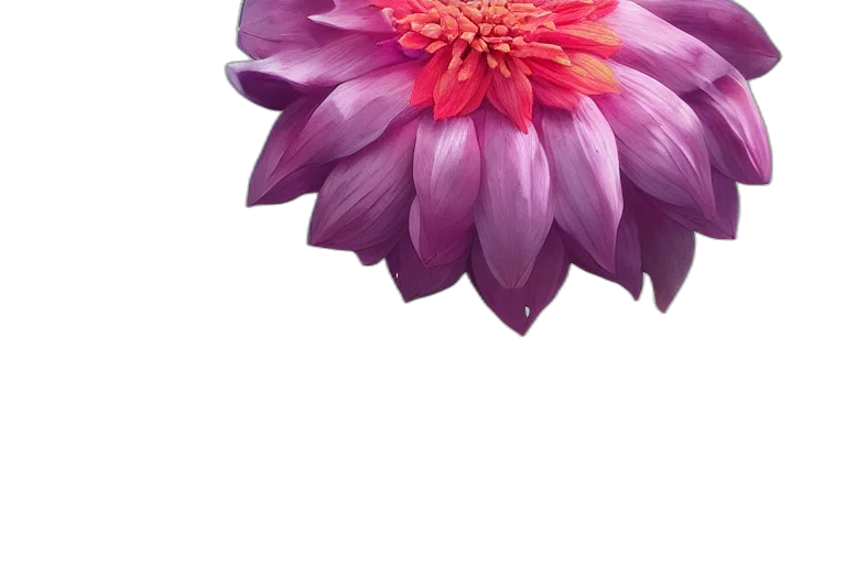 flower, crown, jewelry, umbrella, photorealistic, 3d render, watercolor, oil painting transparent PNG cut-out