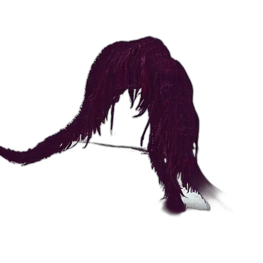 hair, hat, mask, creature transparent PNG cut-out
