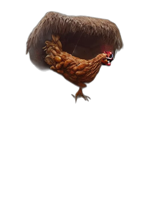hair, animal, creature, face transparent PNG cut-out