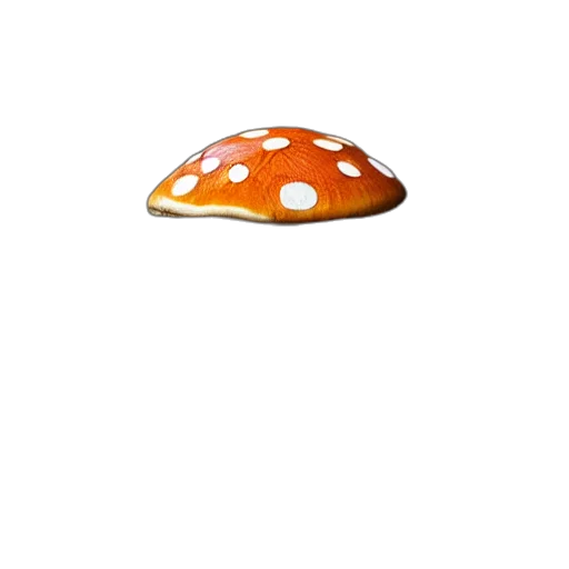 hat, umbrella, food, animal transparent PNG cut-out