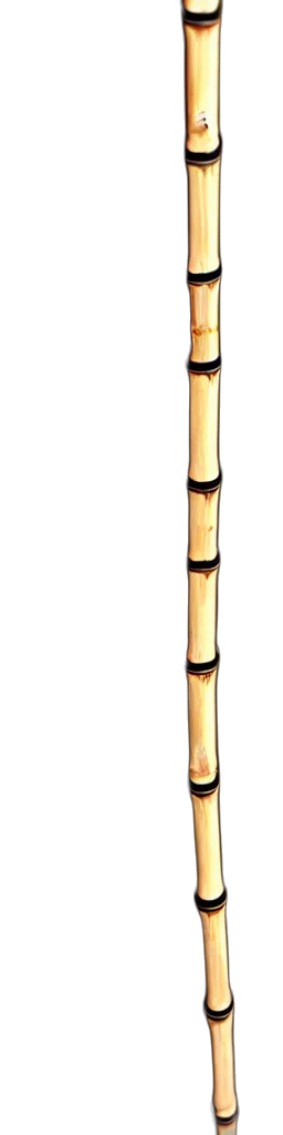 staff, sword, weapon, umbrella transparent PNG cut-out