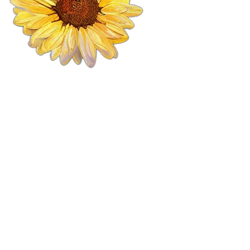 flower, jewelry, crown, staff transparent PNG cut-out
