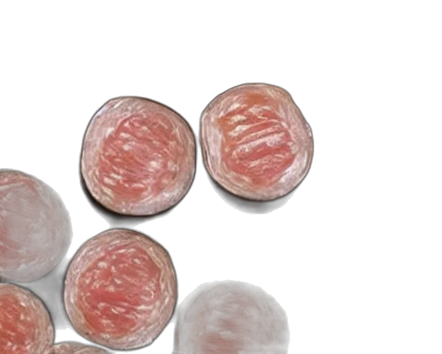 food, jewelry, old, chinese transparent PNG cut-out