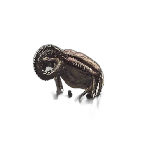 animal, creature, hair, dragon, 3d render, photorealistic, concept art, wide transparent PNG cut-out