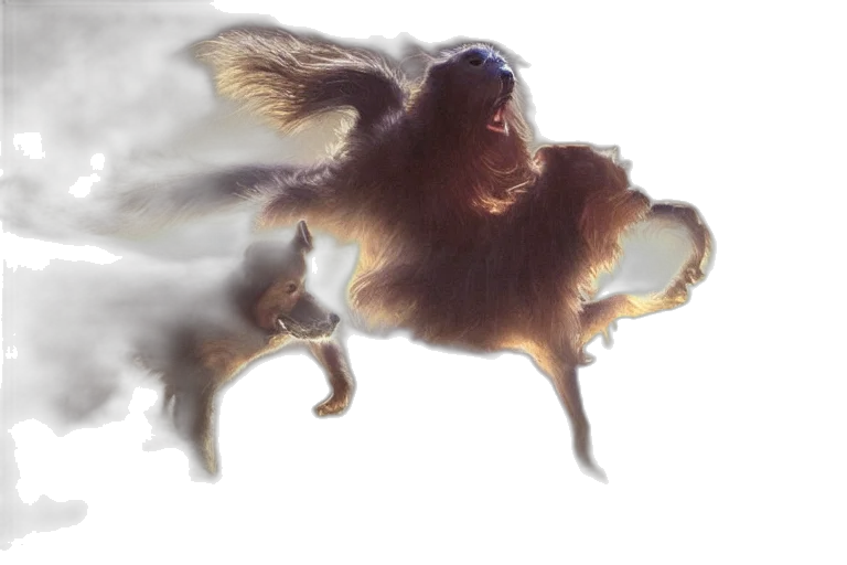 hair, creature, animal, dragon transparent PNG cut-out