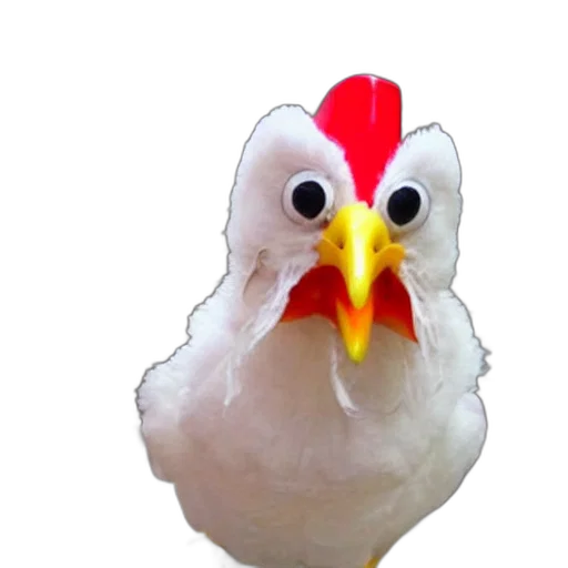 animal, food, face, creature transparent PNG cut-out