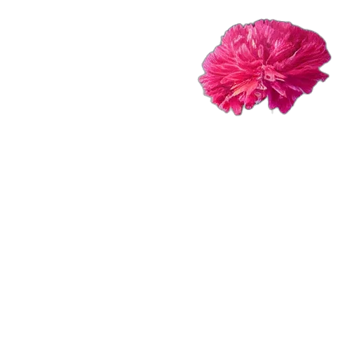 flower, umbrella, crown, hat transparent PNG cut-out