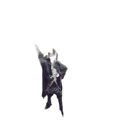 staff, dragon, jacket, weapon transparent PNG cut-out