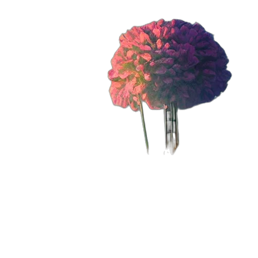 flower, umbrella, crown, hat transparent PNG cut-out