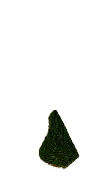 hat, hair, dress, jacket, pixel art, 3d render, concept art, photorealistic transparent PNG cut-out
