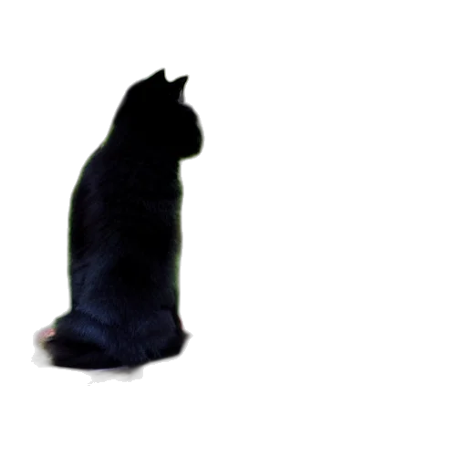 animal, creature, staff, hat, 3d render, concept art, photorealistic, pixel art transparent PNG cut-out