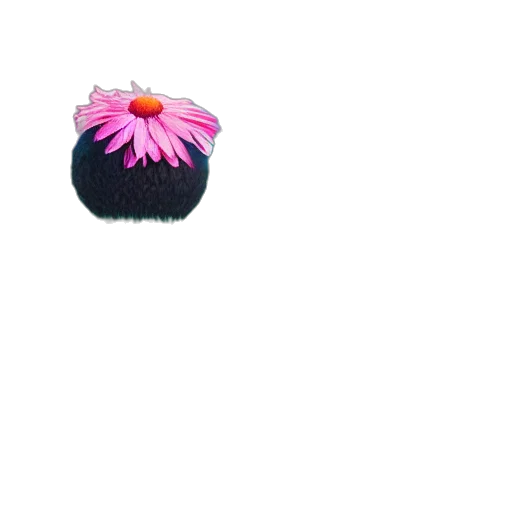 flower, crown, jewelry, hat, pixel art, 3d render, vaporwave, photorealistic transparent PNG cut-out