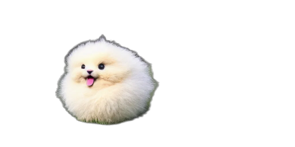 animal, creature, hair, face transparent PNG cut-out