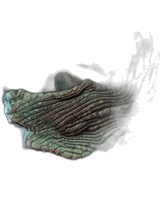 shoes, mask, hat, dragon transparent PNG cut-out