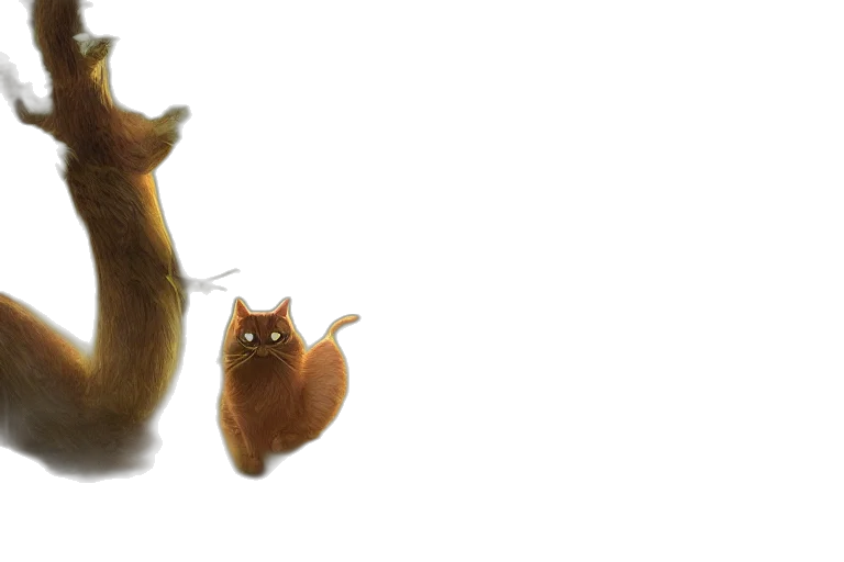 animal, creature, hair, hat transparent PNG cut-out