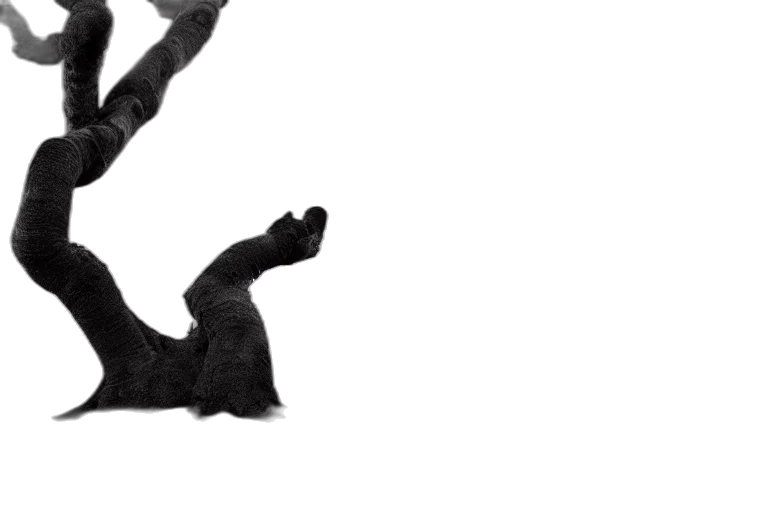 animal, hair, shoes, creature, photorealistic, 3d render, concept art, award transparent PNG cut-out