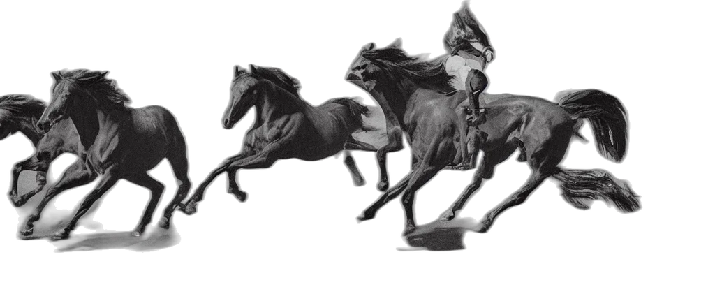 crown, animal, hat, jewelry transparent PNG cut-out