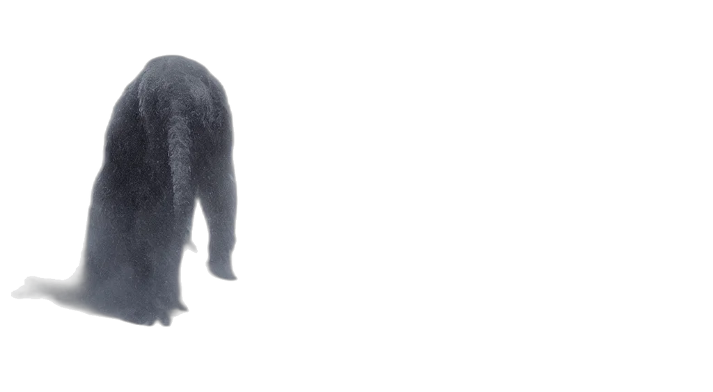 hair, creature, animal, hat transparent PNG cut-out