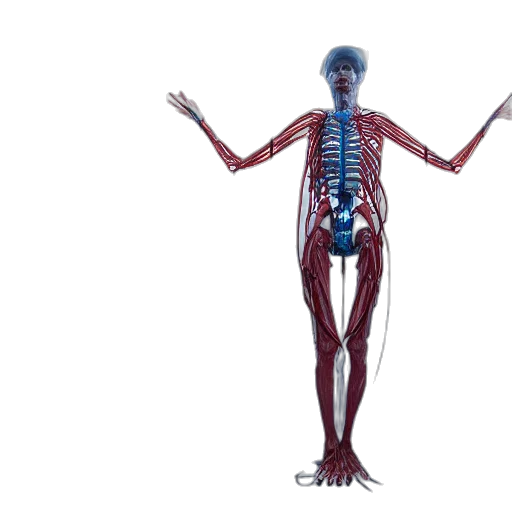 robot, creature, concept art, 3d render transparent PNG cut-out