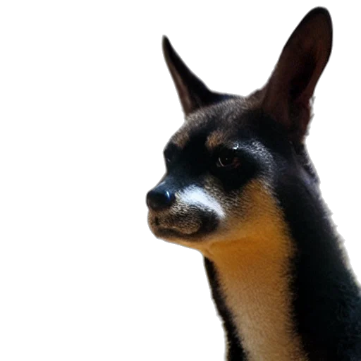 animal, staff, creature, mask, photorealistic, 3d render, concept art, bezos transparent PNG cut-out