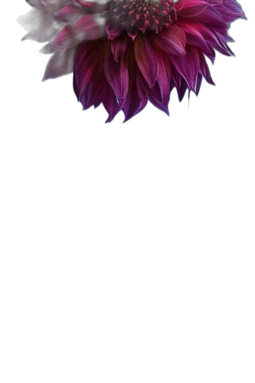 crown, flower, hair, staff, concept art, pixel art, 3d render, fantasy art transparent PNG cut-out
