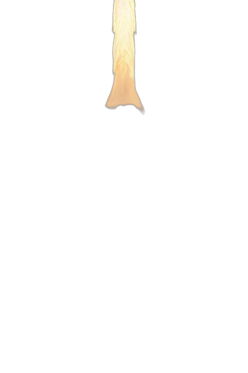 staff, hair, weapon, animal, pixel art, concept art, anime, 3d render transparent PNG cut-out