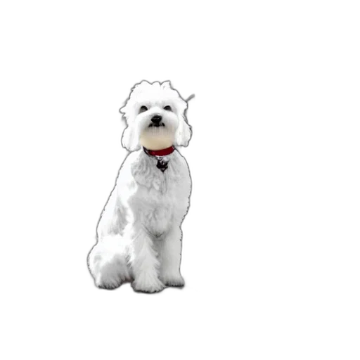 staff, animal, creature, face, photorealistic, 3d render, pixel art, concept art transparent PNG cut-out
