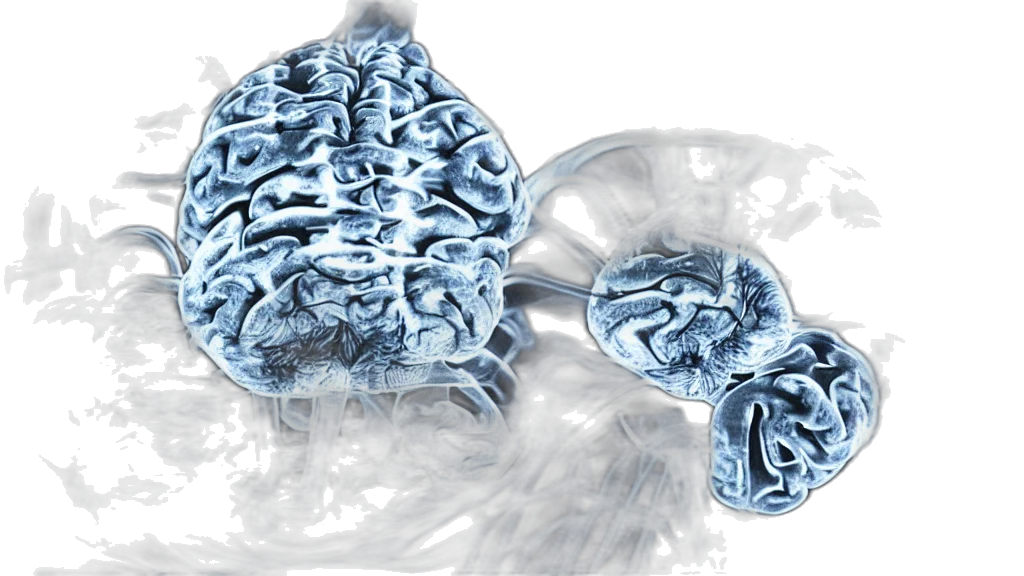 crown, jewelry, mri, brain transparent PNG cut-out