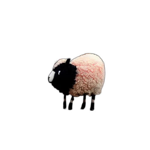 animal, creature, dress, food transparent PNG cut-out