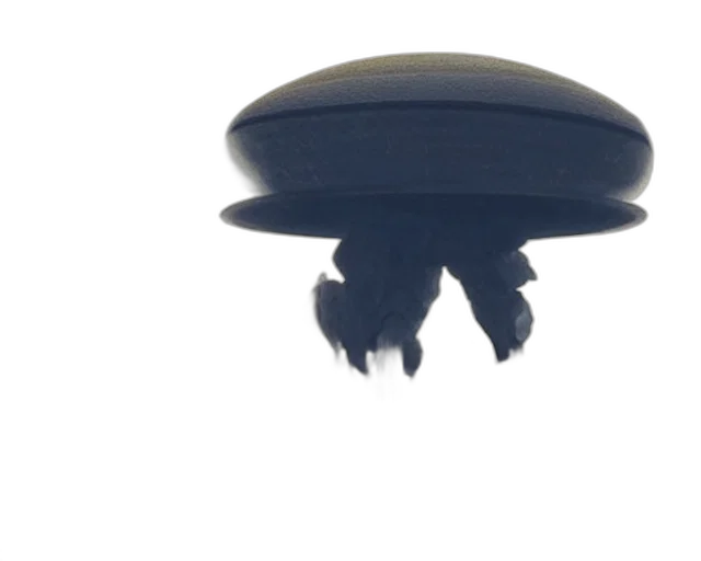hat, hair, umbrella, crown transparent PNG cut-out