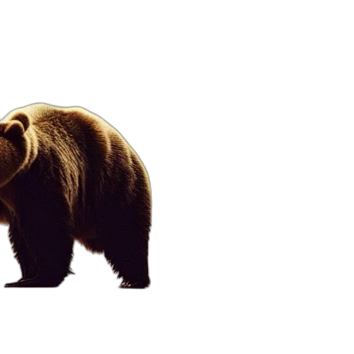 animal, creature, concept art, photorealistic, sweet, dreams, made, these transparent PNG cut-out