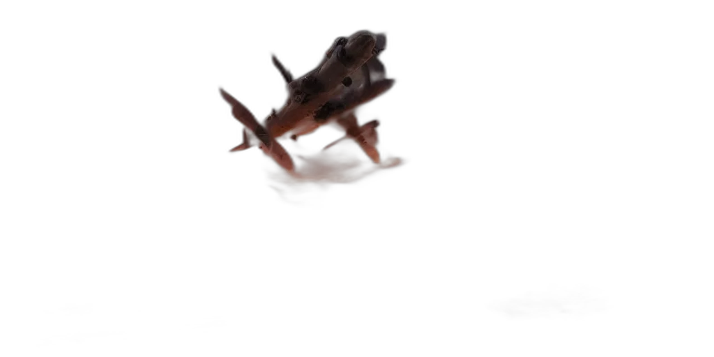 dragon, animal, creature, weapon transparent PNG cut-out