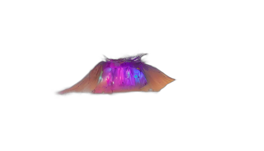 hat, crown, umbrella, hair transparent PNG cut-out