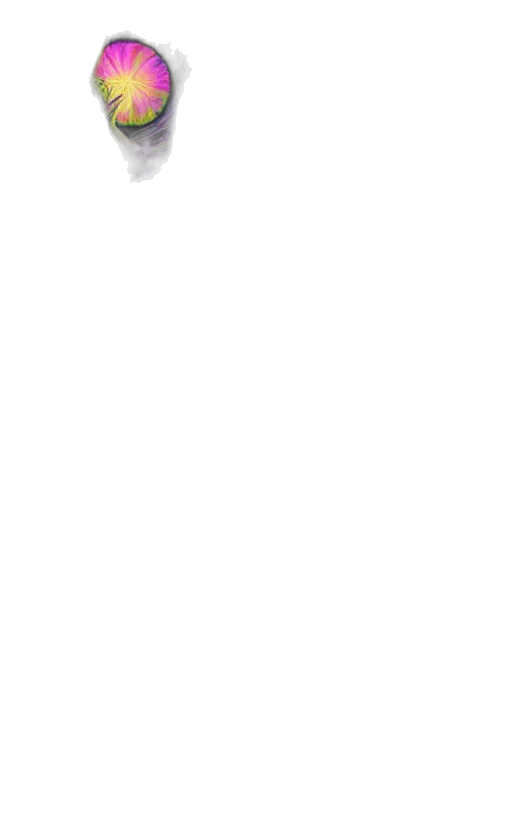 staff, hat, shoes, weapon transparent PNG cut-out