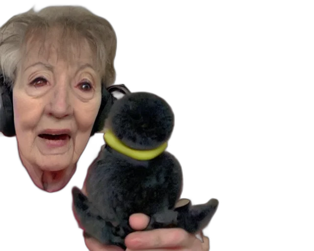 animal, cursed, video, nana82573 transparent PNG cut-out