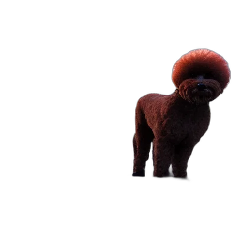 animal, hair, creature, staff transparent PNG cut-out